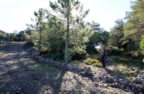 Ruta de la Portilla Bejarana y la ‘Torrita’, un viaje al corazón de Las Batuecas Punto crucial. Desvío a la izquierdadel cortafuegos que tomamos en El Portillo al sendero que llega hasta la Portilla Bejarana