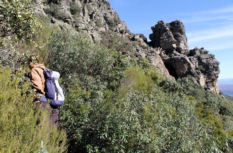 Ruta de la Portilla Bejarana y la ‘Torrita’, un viaje al corazón de Las Batuecas Estefanía abriéndose paso entre la maleza en el sendero que lleva hasta la 'Torrita' Portilla Bejarana