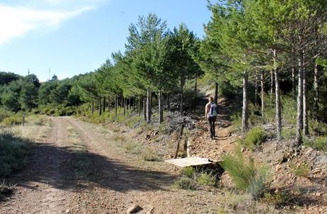Ruta de la Portilla Bejarana y la ‘Torrita’, un viaje al corazón de Las Batuecas Desvío para continuar por el mismo sendero PRSA-10 para enfilar la llegada a El Portillo Portilla Bejarana