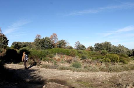 Ruta de la Portilla Bejarana y la ‘Torrita’, un viaje al corazón de Las Batuecas Punto exacto en el que se enlaza con el PRSA-14, el camino entre La Alberca y Herguijuela Portilla Bejarana