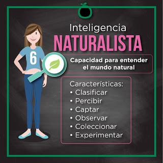 8 tipos de Inteligencia 8 tipos de Inteligencia