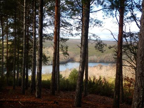 Ruta por los alrededores de Cional. Zamora