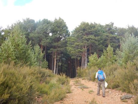 Ruta por los alrededores de Cional. Zamora