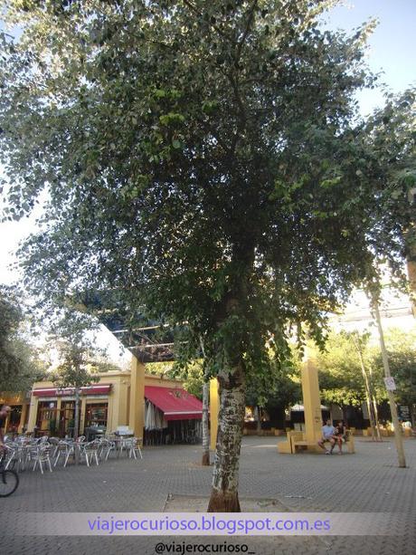 Sevilla desde el Cielo: 5 Curiosidades y Secretos (Parte I). Sevilla desde el Cielo: 5 Curiosidades y Secretos (Parte I).