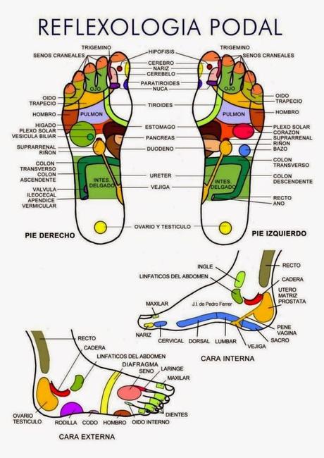 Reflexología podal y siatshu: beneficios para la salud