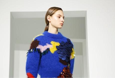 Serenidad: Delpozo RTW Fall 2017