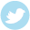 Twitter ”twitter”