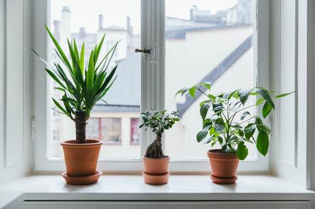 Decoración femenina y romántica en tonos pastel. 08