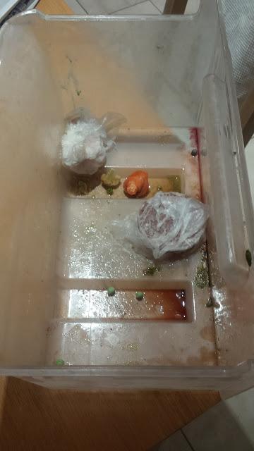 El repugnante contenido de mi congelador El repugnante contenido de mi congelador