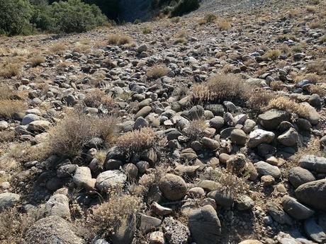 Odèn, silencio absoluto en un radiante día de verano