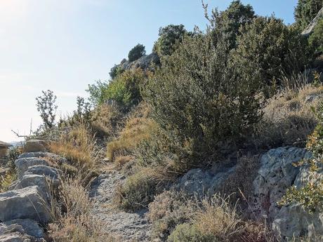 Odèn, silencio absoluto en un radiante día de verano