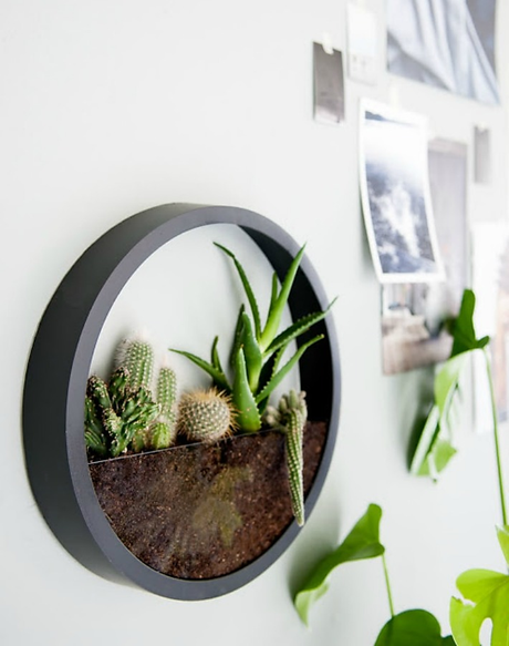 Un terrario de pared realizado con un reloj