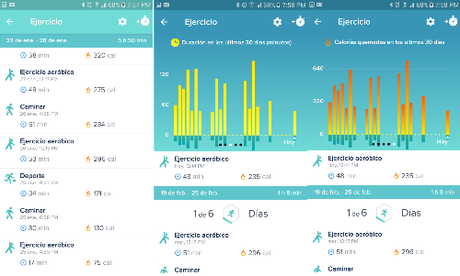 Monitor de actividad Fitbit Flex 2