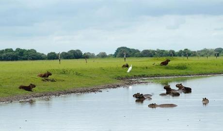 Tal día como hoy se fundó San Fernando de Apure, hace 229 años #Venezuela Tal día como hoy se fundó San Fernando de Apure, hace 229 años #Venezuela