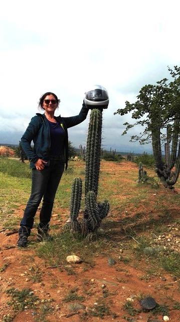 2016 Colombia ( y V ) dav