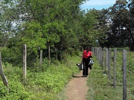 2016 Colombia ( y V ) dav