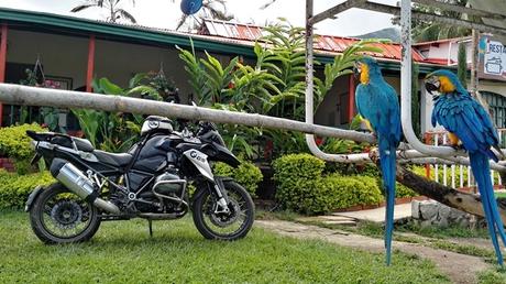 2016 Colombia ( y V ) sdr