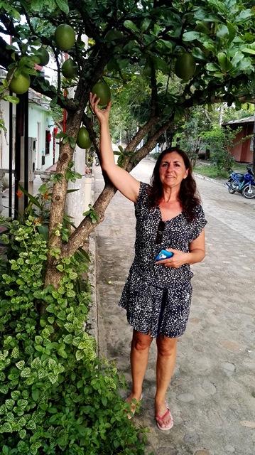 2016 Colombia ( y V ) dav