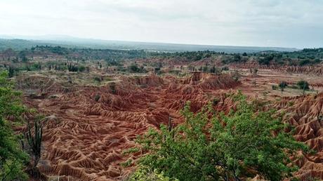 2016 Colombia ( y V ) sdr