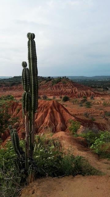 2016 Colombia ( y V ) dav