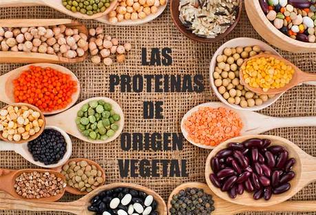 proteinas de origen vegetal