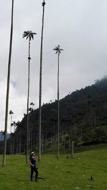 2016 COLOMBIA ( I ) dav