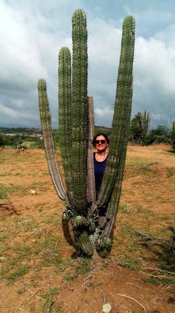 2016 COLOMBIA ( I ) dav