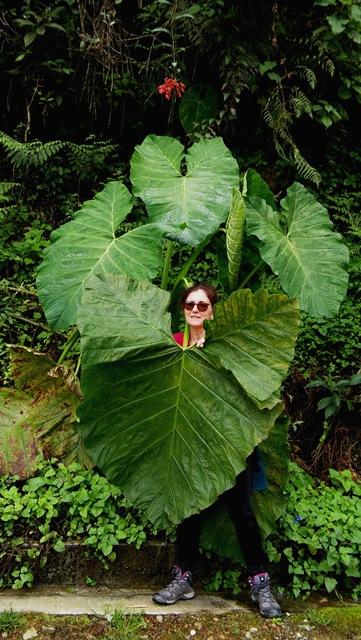 2016 COLOMBIA ( I ) 20161211_103246