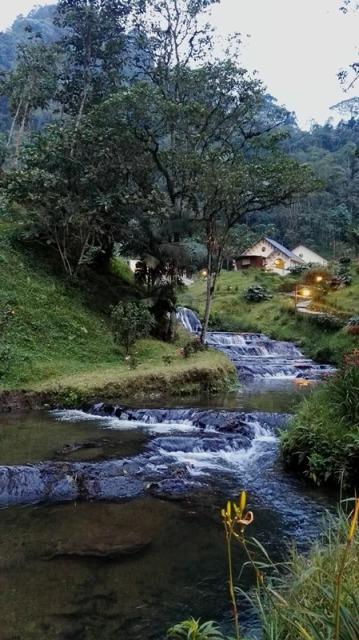 2016 COLOMBIA ( I ) dav