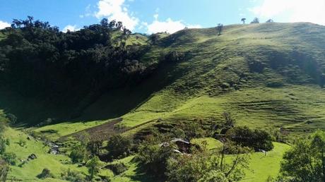 2016 COLOMBIA ( I ) dav