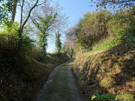 Pista subiendo de Villar en Sariego