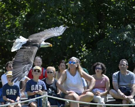 Monasterio de Piedra Monasterio de Piedra