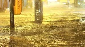 Lo que tienes que leer al soñar con diluviar. Lo que tienes que leer al soñar con diluviar.