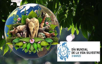 3 DE MARZO DÍA MUNDIAL DE LA VIDA SILVESTRE