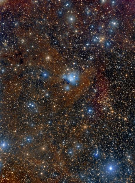 ✨Estrellas, polvo, gas y NGC 7129 ✨Estrellas, polvo, gas y NGC 7129