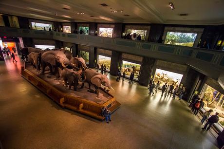 Museos como ciudades Museos como ciudades