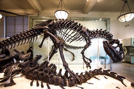 Museos como ciudades Museos como ciudades