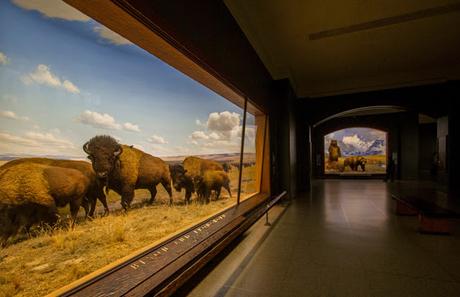 Museos como ciudades Museos como ciudades