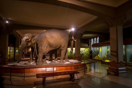 Museos como ciudades Museos como ciudades