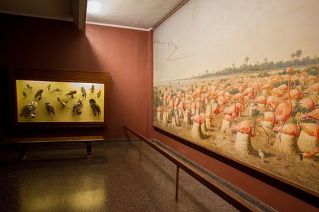 Museos como ciudades Museos como ciudades