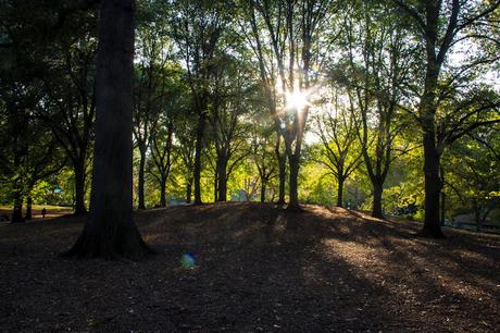 Museos como ciudades Museos como ciudades