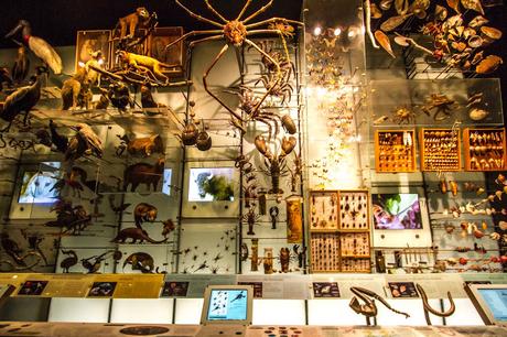 Museos como ciudades Museos como ciudades