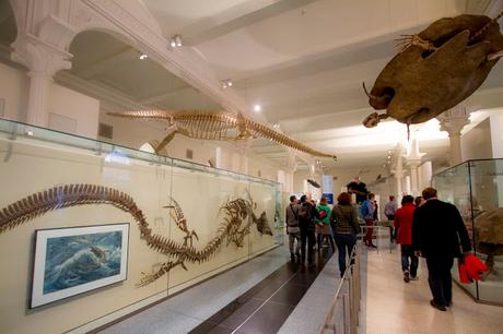 Museos como ciudades Museos como ciudades