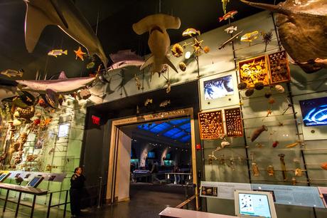 Museos como ciudades Museos como ciudades