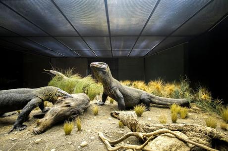 Museos como ciudades Museos como ciudades