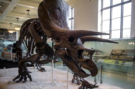 Museos como ciudades Museos como ciudades