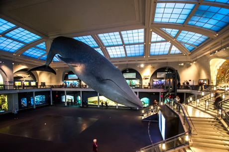 Museos como ciudades Museos como ciudades