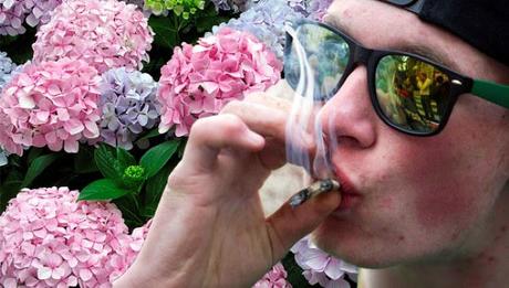 La peligrosa práctica de fumar hortensias para inducir alucinaciones