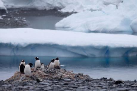 Cómo #Argentina intentó reclamar la #Antártida a través del sexo