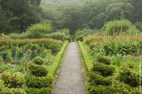  Parque Natural Glenveagh Irlanda